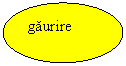 Oval: gaurire